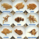 Illustration for article titled Animals in Unbelievable Detail Drawn Entirely in Pancake Batter